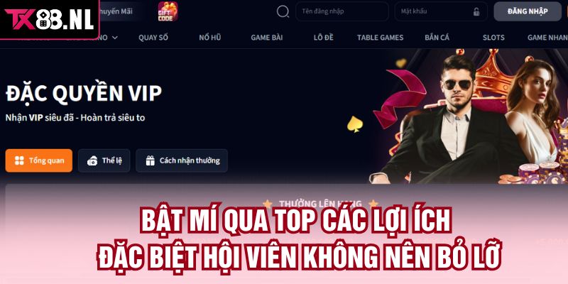 Bật mí qua top các lợi ích đặc biệt hội viên không nên bỏ lỡ