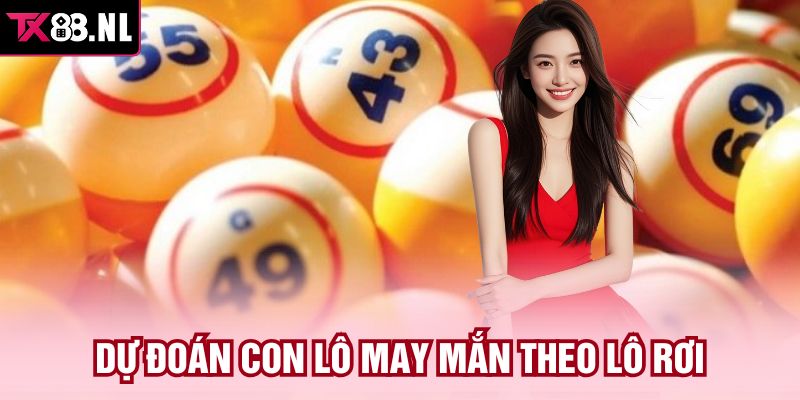 Dự đoán con lô may mắn theo lô rơi 