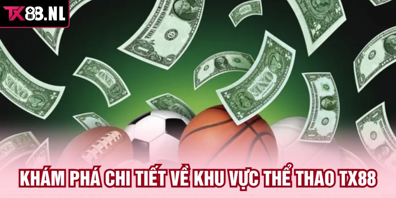Khám phá chi tiết về khu vực thể thao TX88
