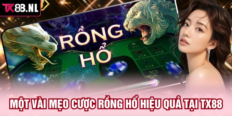 Một vài mẹo cược Rồng Hổ hiệu quả tại TX88 