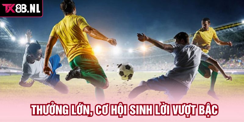 Thưởng lớn, cơ hội sinh lời vượt bậc